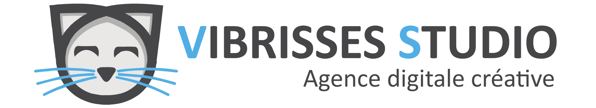 logo Vibrisses Studio